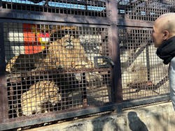 宇都宮動物園に投稿された画像（2025/11/16）