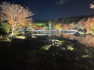 国営昭和記念公園 秋の夜散歩に投稿された画像（2025/11/16）