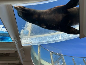 サンシャイン水族館に投稿された画像（2025/11/16）