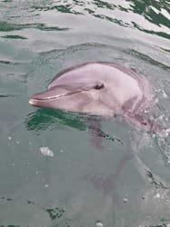 うみたま体験パーク 「つくみイルカ島」に投稿された画像（2025/11/16）