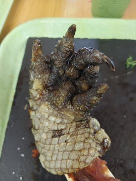 野外民族博物館 リトルワールドに投稿された画像（2025/11/16）