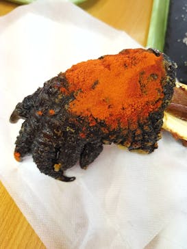 野外民族博物館 リトルワールドに投稿された画像（2025/11/16）