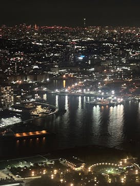 横浜ランドマークタワー 69階展望フロア スカイガーデンに投稿された画像（2025/11/16）