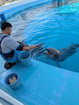 マリンワールド海の中道に投稿された画像（2025/11/16）