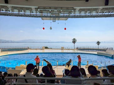 マリンワールド海の中道に投稿された画像（2025/11/16）