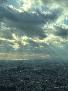 横浜ランドマークタワー 69階展望フロア スカイガーデンに投稿された画像（2025/11/17）