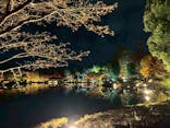 国営昭和記念公園 秋の夜散歩に投稿された画像（2025/11/17）