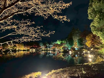 国営昭和記念公園 秋の夜散歩に投稿された画像（2025/11/17）