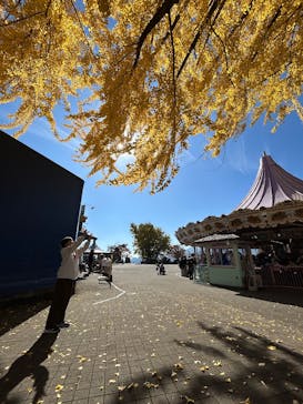 城島高原パークに投稿された画像（2025/11/17）