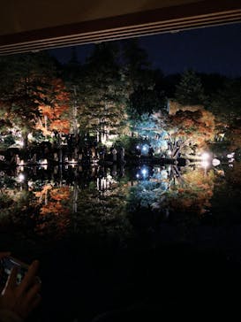 国営昭和記念公園 秋の夜散歩に投稿された画像（2025/11/17）