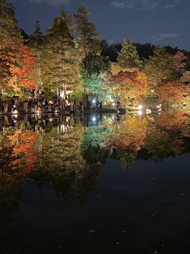 国営昭和記念公園 秋の夜散歩に投稿された画像（2025/11/17）