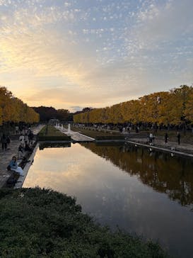 国営昭和記念公園 秋の夜散歩に投稿された画像（2025/11/17）