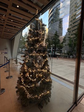 モーリス・ユトリロ展（SOMPO美術館）に投稿された画像（2025/11/17）