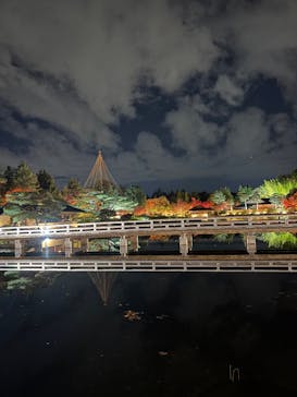 国営昭和記念公園 秋の夜散歩に投稿された画像（2025/11/17）