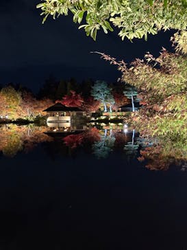 国営昭和記念公園 秋の夜散歩に投稿された画像（2025/11/17）
