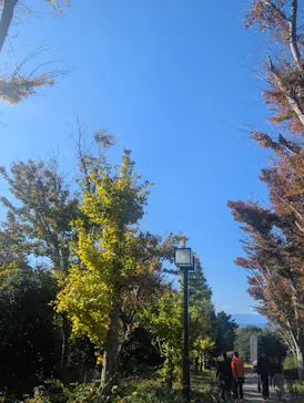 金曜ロードショーとジブリ展（静岡展）に投稿された画像（2025/11/17）