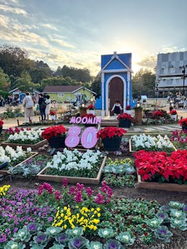 ムーミンバレーパークに投稿された画像（2025/11/17）