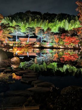 国営昭和記念公園 秋の夜散歩に投稿された画像（2025/11/17）