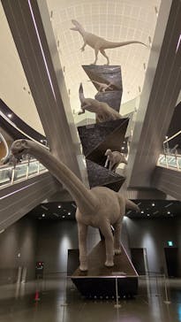 福井県立恐竜博物館に投稿された画像（2025/11/17）
