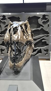 福井県立恐竜博物館に投稿された画像（2025/11/17）