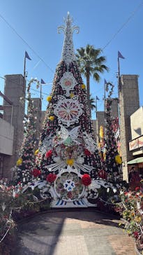 ひらかたパークに投稿された画像（2025/11/17）