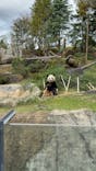 恩賜上野動物園に投稿された画像（2025/11/17）