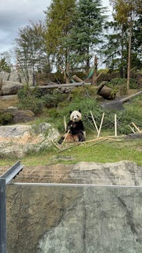 恩賜上野動物園に投稿された画像（2025/11/17）