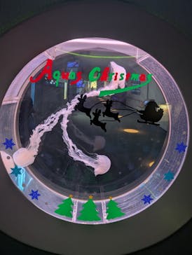 島根県立 しまね海洋館に投稿された画像（2025/11/17）