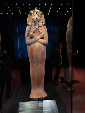 ACN ラムセス大王展 ファラオたちの黄金に投稿された画像（2025/11/17）