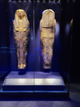 ACN ラムセス大王展 ファラオたちの黄金に投稿された画像（2025/11/17）