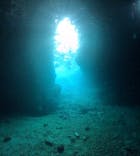 武藤潜水に投稿された画像（2025/11/17）