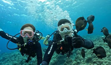 武藤潜水に投稿された画像（2025/11/17）