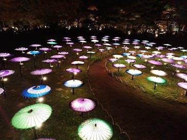 国営昭和記念公園 秋の夜散歩に投稿された画像（2025/11/17）