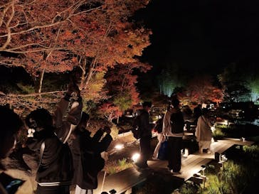 国営昭和記念公園 秋の夜散歩に投稿された画像（2025/11/17）