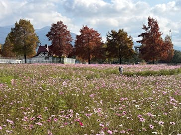 滋賀農業公園ブルーメの丘に投稿された画像（2025/11/17）
