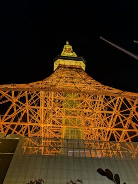 東京タワーに投稿された画像（2025/11/17）