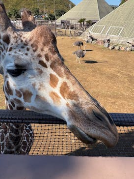 伊豆シャボテン動物公園に投稿された画像（2025/11/17）