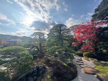 足立美術館に投稿された画像（2025/11/17）