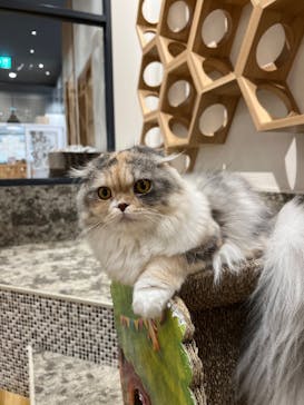 いぬカフェRio イオンモール常滑店に投稿された画像（2025/11/17）