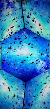 ひらかたパークに投稿された画像（2025/11/17）