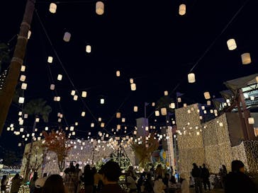 ひらかたパークに投稿された画像（2025/11/17）