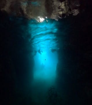 武藤潜水に投稿された画像（2025/11/17）