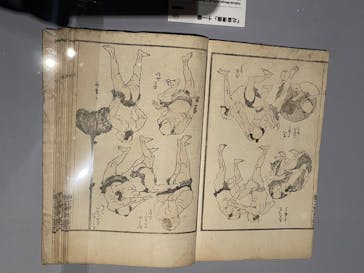 HOKUSAI－ぜんぶ、北斎のしわざでした。展に投稿された画像（2025/11/17）