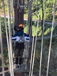 ロッテアライリゾートに投稿された画像（2025/11/17）