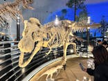 福井県立恐竜博物館に投稿された画像（2025/11/17）