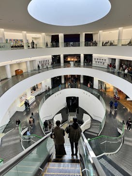 福井県立恐竜博物館に投稿された画像（2025/11/17）