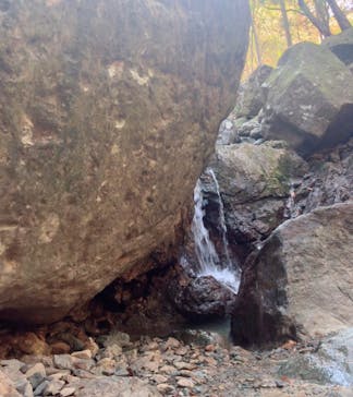 白瀧大明神奉賛会に投稿された画像（2025/11/17）