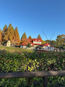 滋賀農業公園ブルーメの丘に投稿された画像（2025/11/17）