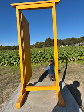 滋賀農業公園ブルーメの丘に投稿された画像（2025/11/17）