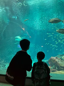 マリンワールド海の中道に投稿された画像（2025/11/17）